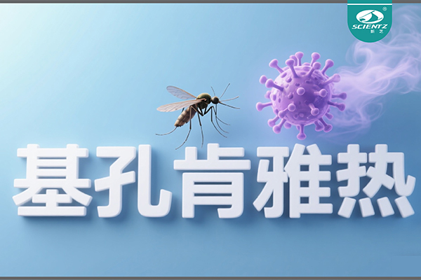 基孔肯雅热疫情升级！yl6809永利生物硬核技术助力病毒精准诊断