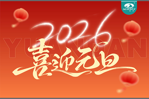 董事长周芳女士新年献词：心有定力，沐光而行