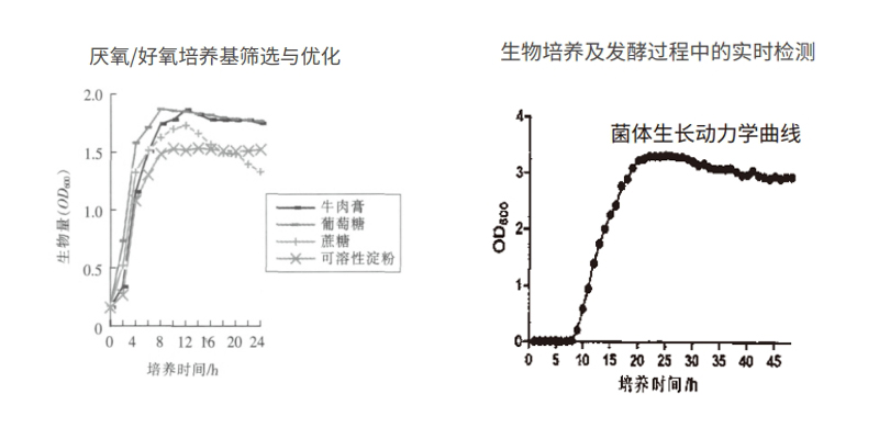 过程安全，结果精准